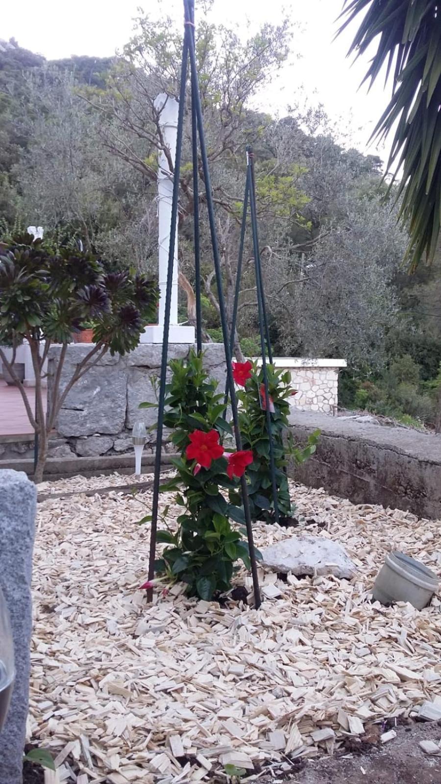 Okuklje Apartment Nadine Mljet Mit Meerblick מראה חיצוני תמונה