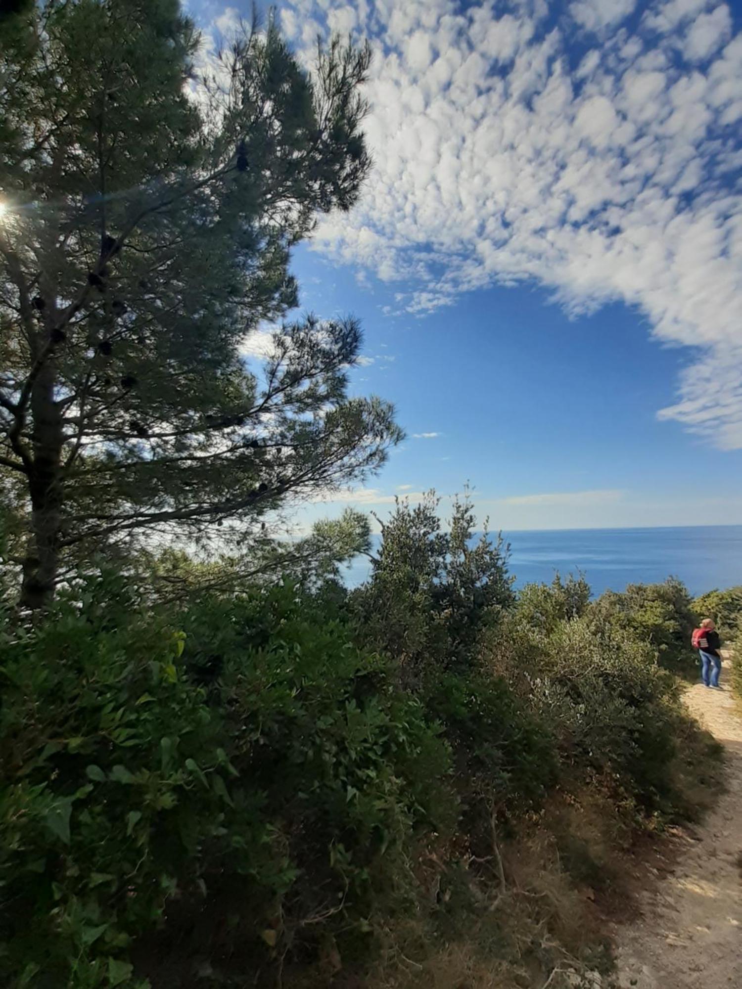 Okuklje Apartment Nadine Mljet Mit Meerblick חדר תמונה